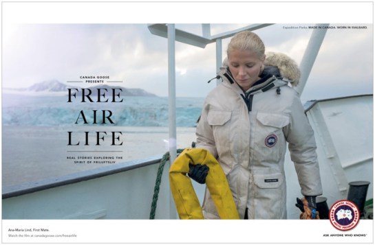 Final-DPS-with-borders-Ana